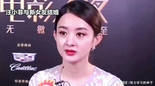 娱乐八卦吃瓜赵丽颖小说免费阅读,揭秘明星背后的故事，免费畅读  第1张